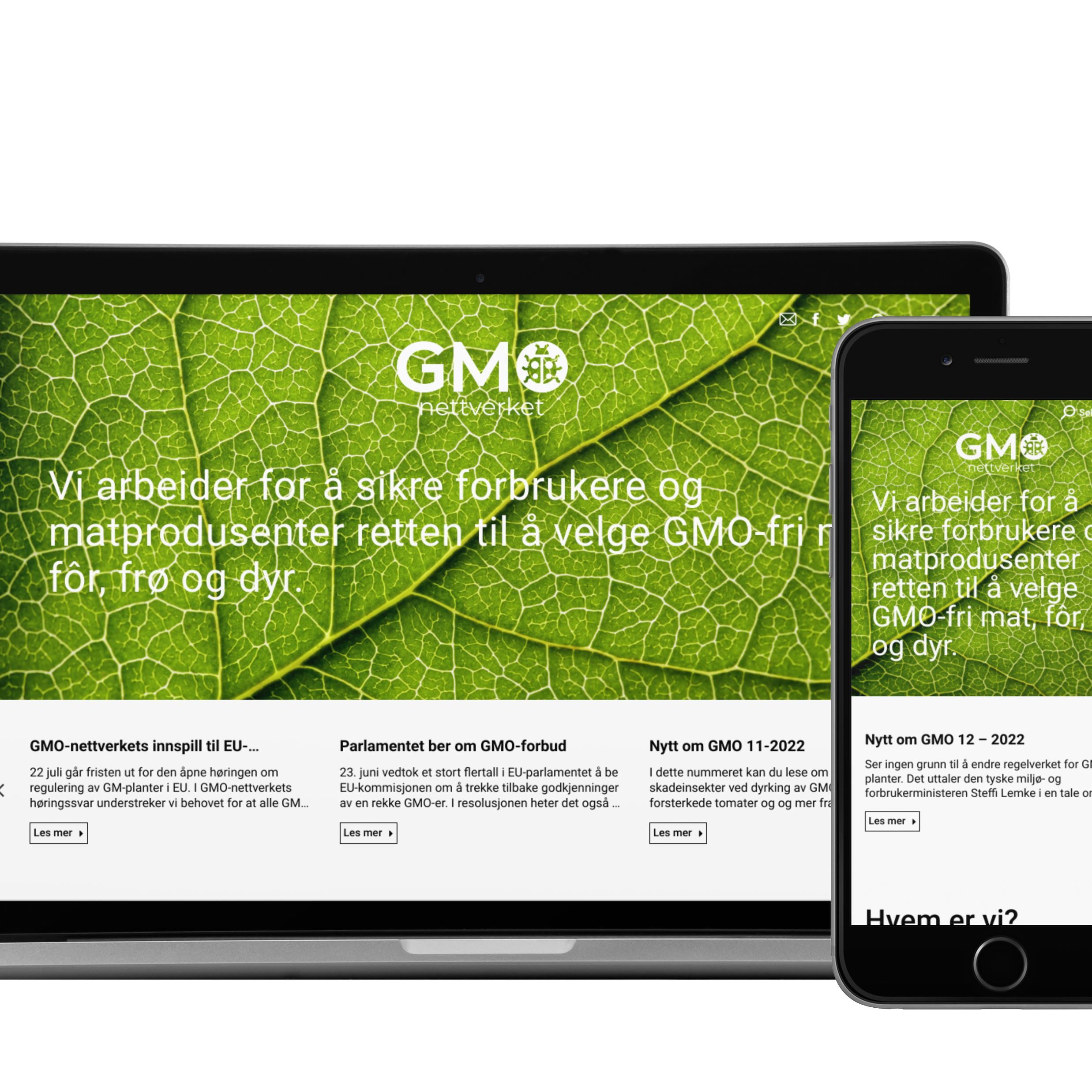 eksempel på nettside til kr 50 000 - 90 000