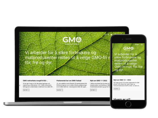 eksempel på nettside til kr 50 000 - 90 000